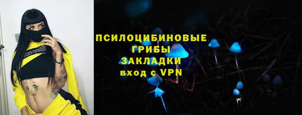 шишки Кулебаки