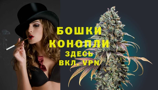 шишки Кулебаки